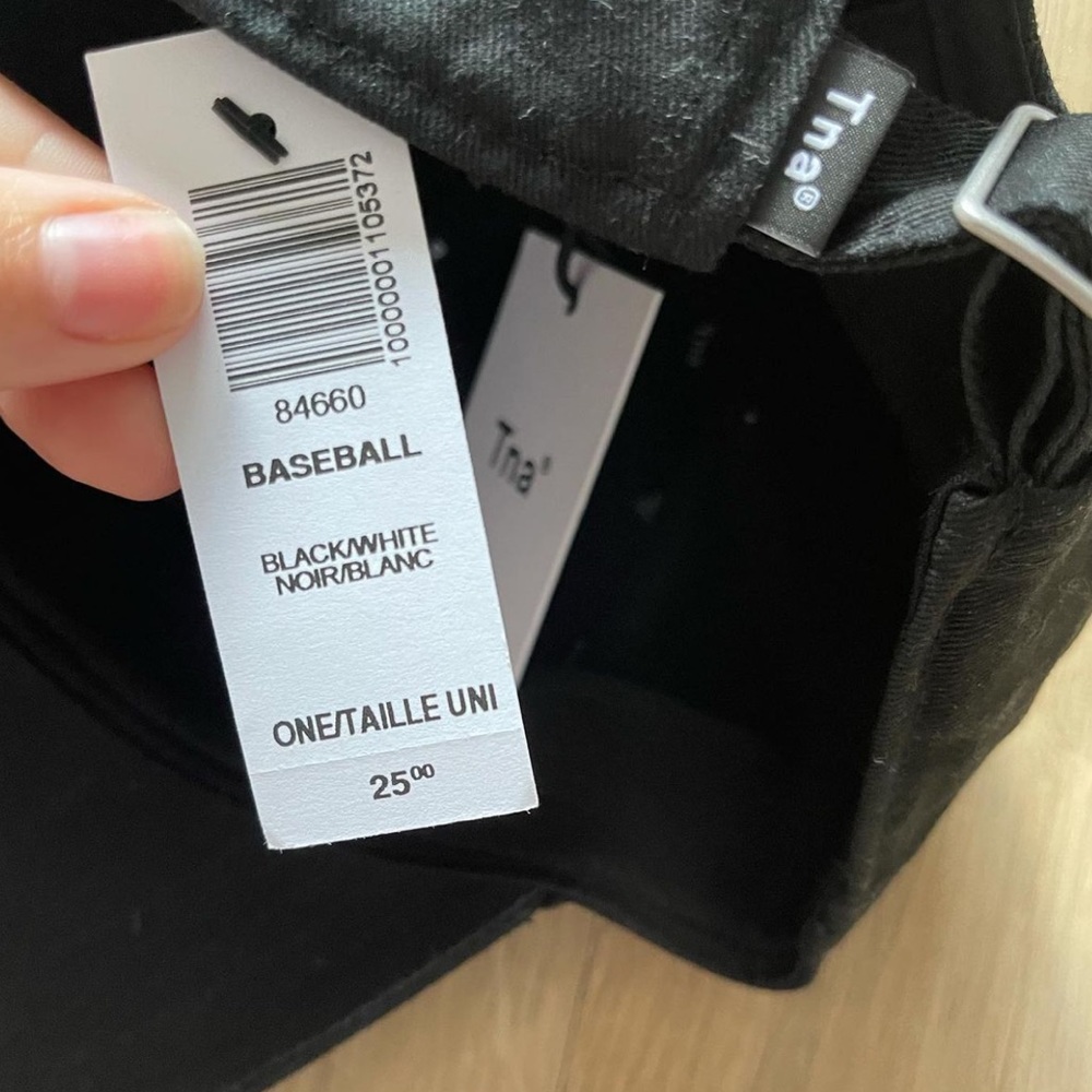 Aritzia Baseball Hat